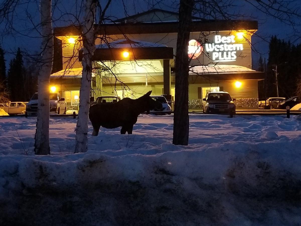 Best Western Plus Pioneer Park Inn Fairbanks Extérieur photo